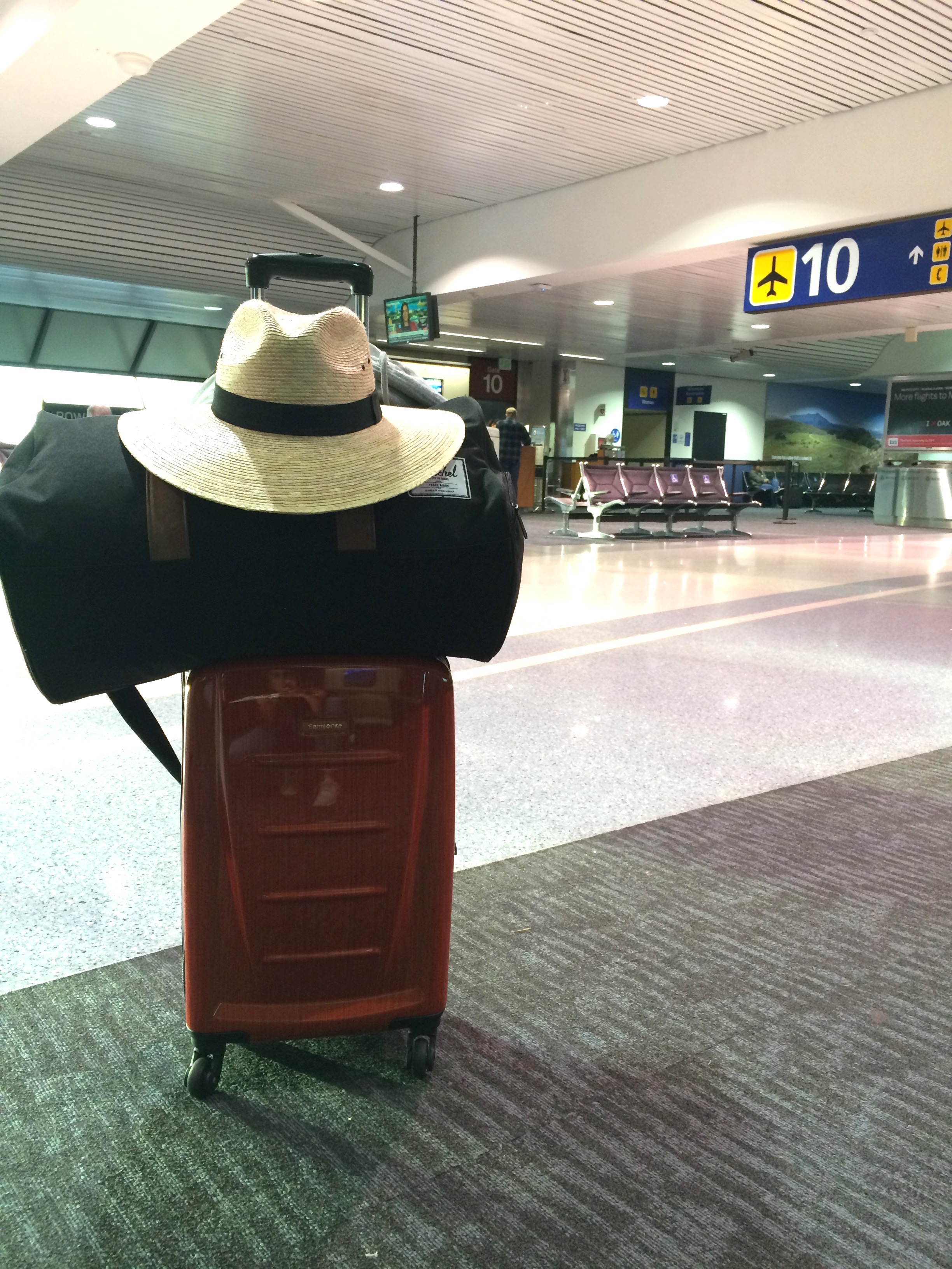 Samsonite Carry On Review: Stylish But Travel-Worthy ...